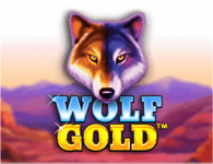 Wolf Gold